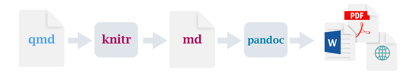 Workflow diagram starting with a qmd file, then knitr, then md,  then pandoc, then PDF, MS Word, or HTML. 
